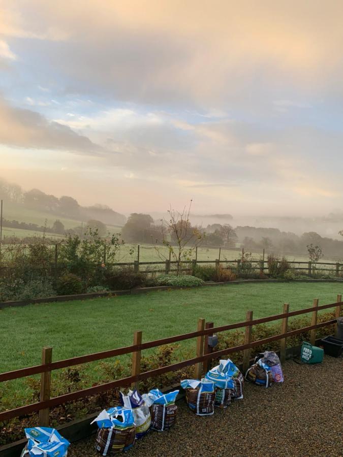 Neuadd Villa Llanwnen Buitenkant foto